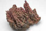 Lustrous Vanadinite Crystals on Goethite Stalactites - Morocco #209144-1